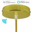 SMART cylindrical metal ceiling rose kit - compatible with voice assistants