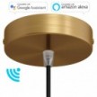 SMART cylindrical metal ceiling rose kit - compatible with voice assistants