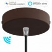 SMART cylindrical metal ceiling rose kit - compatible with voice assistants