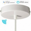 SMART cylindrical metal ceiling rose kit - compatible with voice assistants