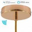 SMART cylindrical metal ceiling rose kit - compatible with voice assistants