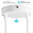 SMART cylindrical metal 2-hole ceiling rose kit - compatible with voice assistants