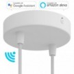 SMART cylindrical metal 2-hole ceiling rose kit - compatible with voice assistants