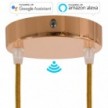 SMART cylindrical metal 2-hole ceiling rose kit - compatible with voice assistants