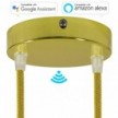 SMART cylindrical metal 2-hole ceiling rose kit - compatible with voice assistants