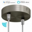 SMART cylindrical metal 2-hole ceiling rose kit - compatible with voice assistants