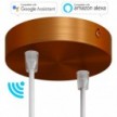 SMART cylindrical metal 2-hole ceiling rose kit - compatible with voice assistants