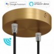 SMART cylindrical metal 2-hole ceiling rose kit - compatible with voice assistants