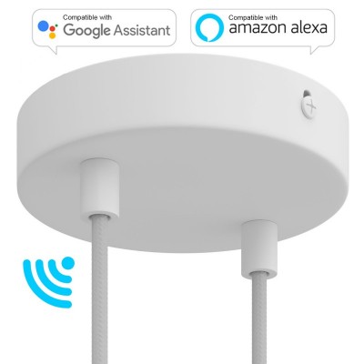 SMART cylindrical metal 2-hole ceiling rose kit - compatible with voice assistants - Matt White