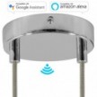 SMART cylindrical metal 2-hole ceiling rose kit - compatible with voice assistants