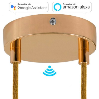 SMART cylindrical metal 2-hole ceiling rose kit - compatible with voice assistants - Copper