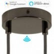 SMART cylindrical metal 2-hole ceiling rose kit - compatible with voice assistants