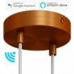 SMART cylindrical metal 2-hole ceiling rose kit - compatible with voice assistants