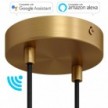 SMART cylindrical metal 2-hole ceiling rose kit - compatible with voice assistants