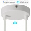 SMART cylindrical metal 2-hole ceiling rose kit - compatible with voice assistants