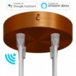 SMART cylindrical metal 4-hole ceiling rose kit - compatible with voice assistants