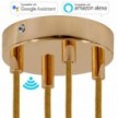 SMART cylindrical metal 4-hole ceiling rose kit - compatible with voice assistants