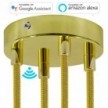 SMART cylindrical metal 4-hole ceiling rose kit - compatible with voice assistants