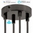 SMART cylindrical metal 4-hole ceiling rose kit - compatible with voice assistants