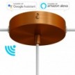 SMART cylindrical metal 1 central hole + 2 side holes ceiling rose kit - compatible with voice assistants