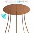 Large Round Smart ceiling rose, 400 mm Panel Rose-One with 5 holes - compatible with voice assistants