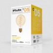 LED Golden Light Bulb C05 Carbon Line Curved Spiral Filament Globe G80 4W 250Lm E27 1800K Dimmable