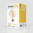 LED Golden Light Bulb C55 Carbon Line Filament Cage Globe G95 7W 640Lm E27 2700K Dimmable