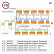 WAGO connector kit compatible with 3x cable for 14 hole ceiling rose