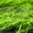 Marlene twisted lighting cable covered in  hairy-effect  fabric Plain Green TP06