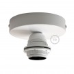 Fermaluce Metal with E27 threaded lamp holder, the metal wall or ceiling light source